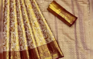 Kanchipuram Silk Shop