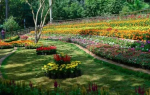 Botanical Garden
