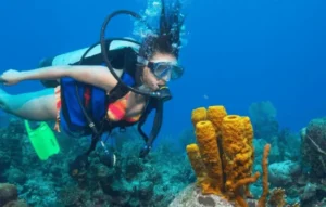 Scuba Diving